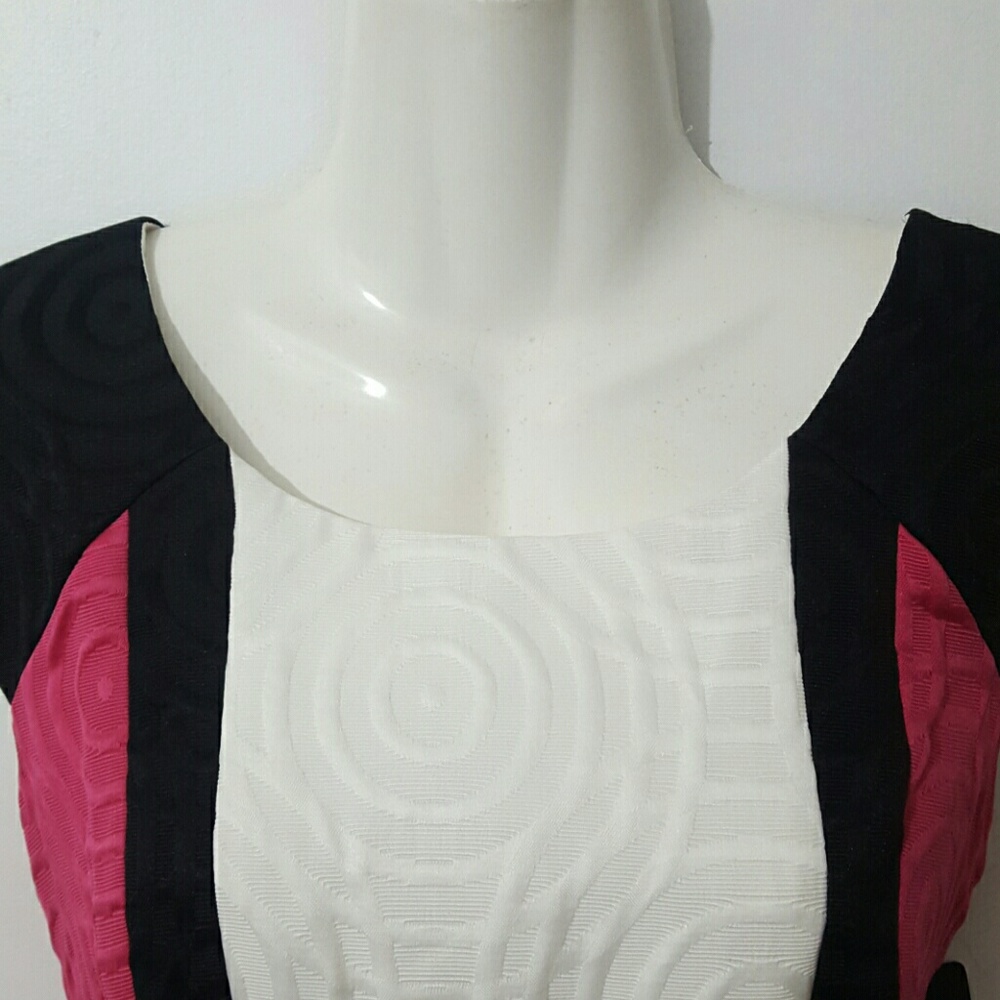 Jax NWT womans shift dress, color blocked/Size-10 - Picture 4 of 6